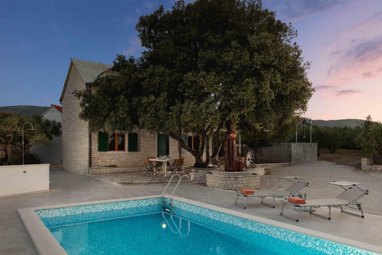 פוצ'ישצ'ה Villa Dubrava Tranquil Retreat Nestled In An Olive Grove For Serene Escapes מראה חיצוני תמונה